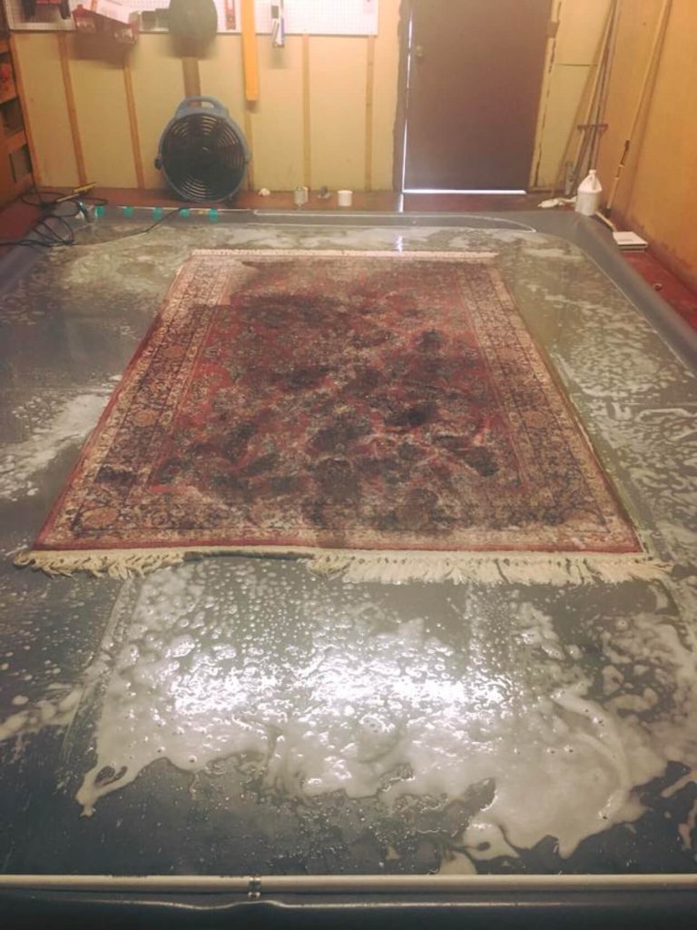 area rug cleaning